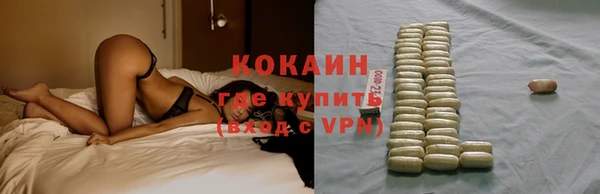 дживик Наволоки