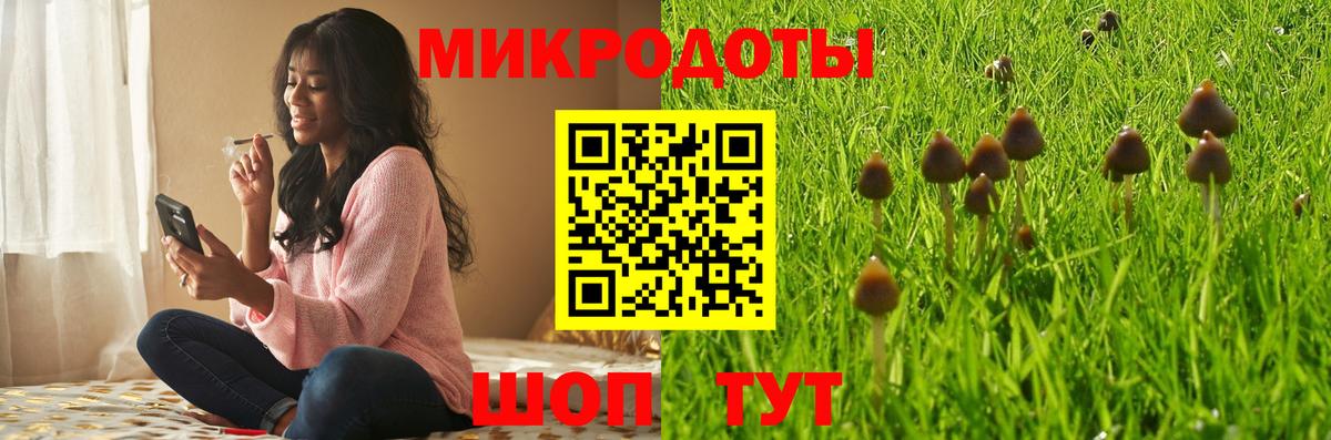 закладки  Вход с VPN  Галлюциногенные грибы прущие грибы  Новокубанск  Галлюциногенные грибы мухоморы 