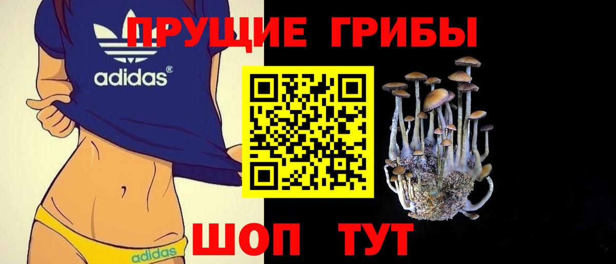 Галлюциногенные грибы GOLDEN TEACHER Новокубанск