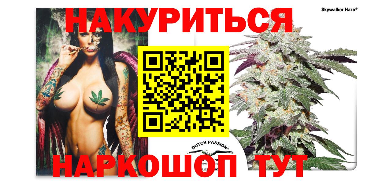 Бошки Шишки White Widow  Вход с VPN  Новокубанск  Бошки марихуана сатива  МАРИХУАНА THC 21% 